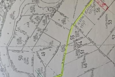 Teren Vânzare Mogosoaia, 1000 mp, Deschidere directă la lac 65 metri,245 Euro/mp - 3