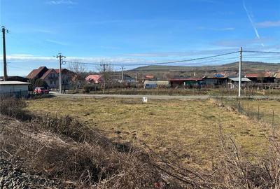 Teren Construcții intravilan de 1000 mp, în Vest - 6