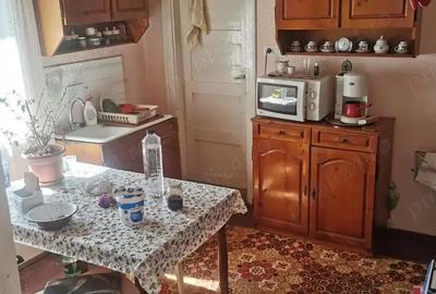 Casă cu 2 camere în Sebiș - 10