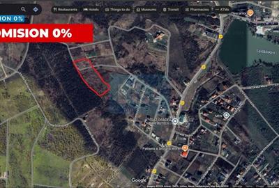 Teren Construcții extravilan de 11050 mp, în Orașul Nou