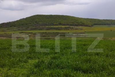 Teren extravilan 3621 mp, in Petrestii de Mijloc - 4