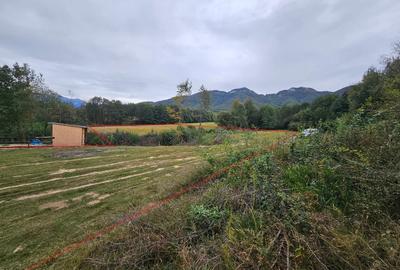 Teren Tohanita-Zarnesti 5000 mp - 4