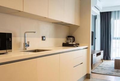 Apartament cu 2 camere de inchiriat in zona Aviatorilor - 4