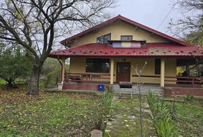 Casă cu 4 camere cu Teren 4000 Mp în Vedea - 1