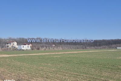 Spațiu comercial, în Balotești - 6