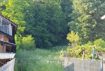 Teren 7000mp Pucioasa - Zona Pitoreasca - 26