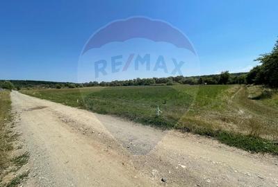 TEREN  INTRAVILAN 5,000mp ORAS CISNADIE  STR.  SELIMBARULUI - 6