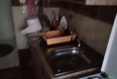 Garsonieră în Noua - 3