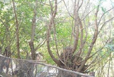 Teren de 2390 mp, în Schei - 7