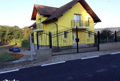Casă cu 5 camere cu Teren 2800 Mp în Șintereag - 13