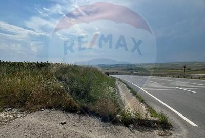 Teren 3,500mp Ilisesti / Strada Principala - 8