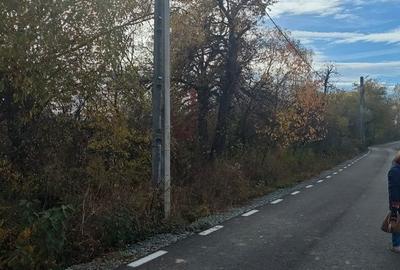 Spațiu comercial, în Ariniș - 2