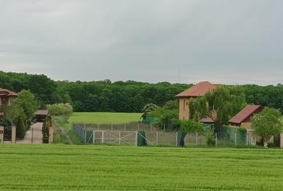 Casa  de vânzare Ciofliceni, Snagov - 2
