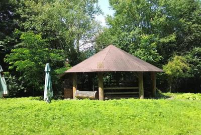 Casă cu 6 camere cu Teren 5200 Mp în Sucevița - 17