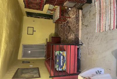 Casa de vanzare in Sannicolaul Mare - 8