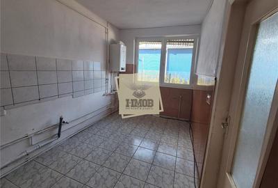 Garsonieră decomandată în Turnișor - 10