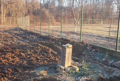 Teren Construcții intravilan de 600 mp, în Tâncăbești - 4