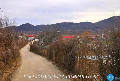 Teren de 350 mp, în Vlădești - 3