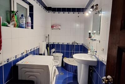 Imobil de inchiriat in zona Brancoveanu - Martisor - 6