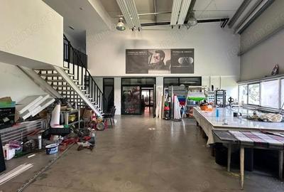 De vanzare Hala parter si etaj-birouri, zona Calea Torontalului - 8