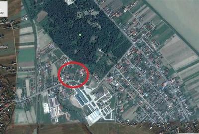 VILA P+M Hemeiusi - Parcul Dendrologic - 14