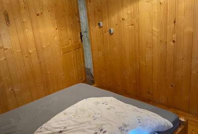 Vila de vanatoare in Santimbru-Bai - 19