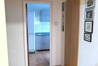 Apartament cu 3 camere decomandat în Tineretului - 5