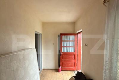 Proprietate completa in Sacuieni- Doua Case + Anexe - 25