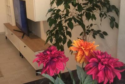 Garsonieră nedecomandată în Burdea - 6