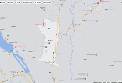 Teren de 4342 mp, în Mărăcineni - 7