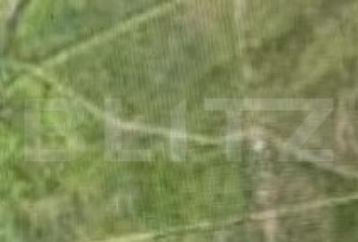Teren de 7514 mp, în Schitu Duca - 2