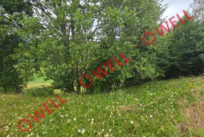 Teren agricol extravilan de 3400 mp, în Sărămaș - 4