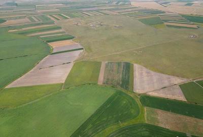 Teren arabil de 2688 hectare in Braila Teren arabil de 2688 hectare in Braila - 3