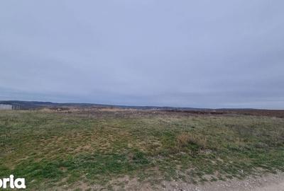 Teren de 2026 mp, în Paleu - 4