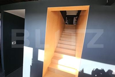 Vila de lux cu 4 camere in V. Ursului, langa padure - 14