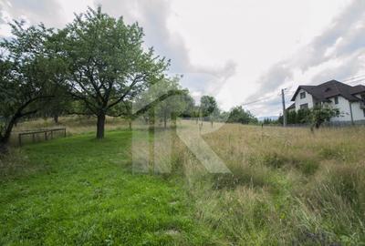 Teren investitie Bran - Predelut, la 2 km de Castelul Bran - 4