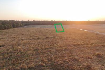 5.000 mp pentru dezvoltare vile premium Pipera Padura Baneasa