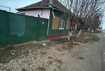 Casă cu 3 camere cu Teren 2241 Mp în Sânnicolau Român - 10