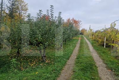 Casa Individuala | 200 MP | Baisa - 2