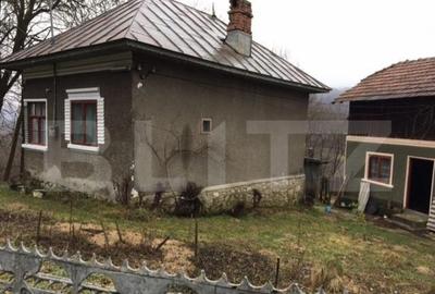 Casa de vacanta din lemn, sat Magura, Bezdead - 11