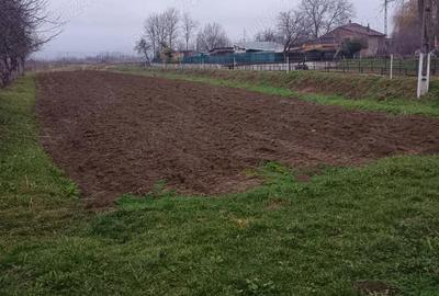 Casă cu 2 camere cu Teren 1950 Mp în Gothatea