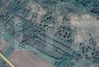 20.000mp de Livada, zona Cristur. acces facil din DN 17 - 1