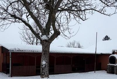 Casă individuală cu 8 camere cu Canalizare în Diosig - 5