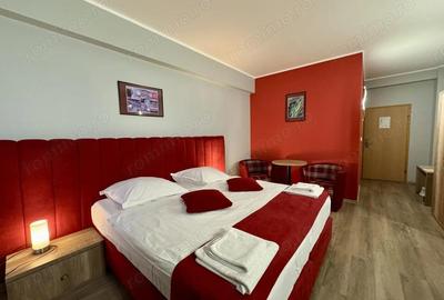 Garsonieră în Elisabetin - 2