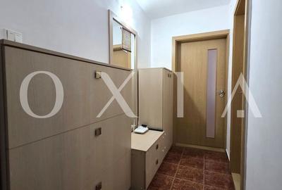 Apartament cu 2 camere semidecomandat, mobilat în Bucovina - 10