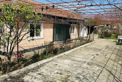 Casă cu 3 camere în Central - 8