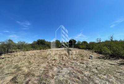 Casa cu teren 3407 mp, la asfalt, Seceani, 26 km de Timisoara. Casa cu teren 3407 mp, la asfalt, Seceani, 26 km de Timisoara. - 7