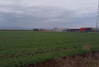 De vanzare terenuri intravilane intre Chilieni si Ozun - 20