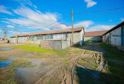 Spațiu industrial, de 820 mp, în Tilecuș - 19