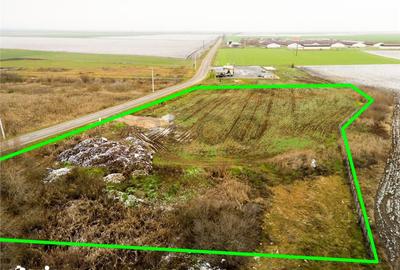 Teren de 5000 mp, în Sânnicolau Român - 4